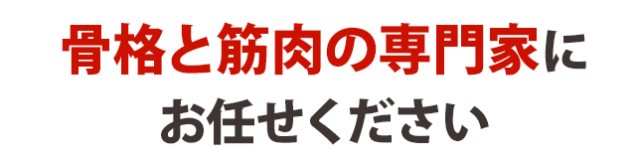 骨格と筋肉の専門家にお任せください